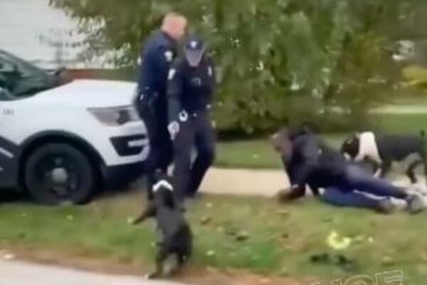 POLICIJA UBILA 3 PITBULA JER SU KLALI LJUDE PO KRAJU! Zatekli ih kako KIDAJU muškarca na zemlji (UZNEMIRUJUĆ VIDEO)