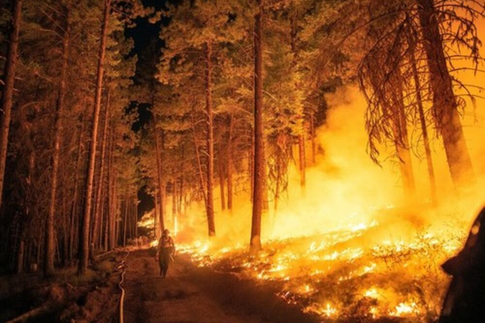 ZABRINJAVAJUĆA SITUACIJA U TURSKOJ: Šumski požar u blizini Antalije, vatrogasci deluju sa kopna i iz vazduha