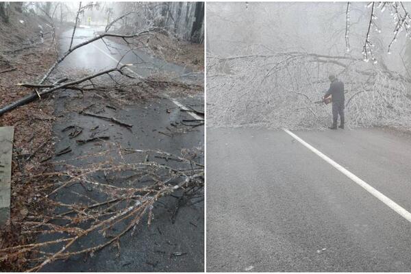 ZALEĐENO STABLO PALO NA ŽENU NA FRUŠKOJ GORI! Vozači sklanjali trake upozorenja i time sve doveli u OPASNOST (FOTO)