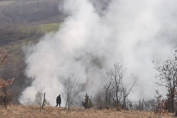 ZAPALILO SE POLJE LAVANDE KOD NOVOG SADA: Uzrok još nije otkriven (VIDEO)