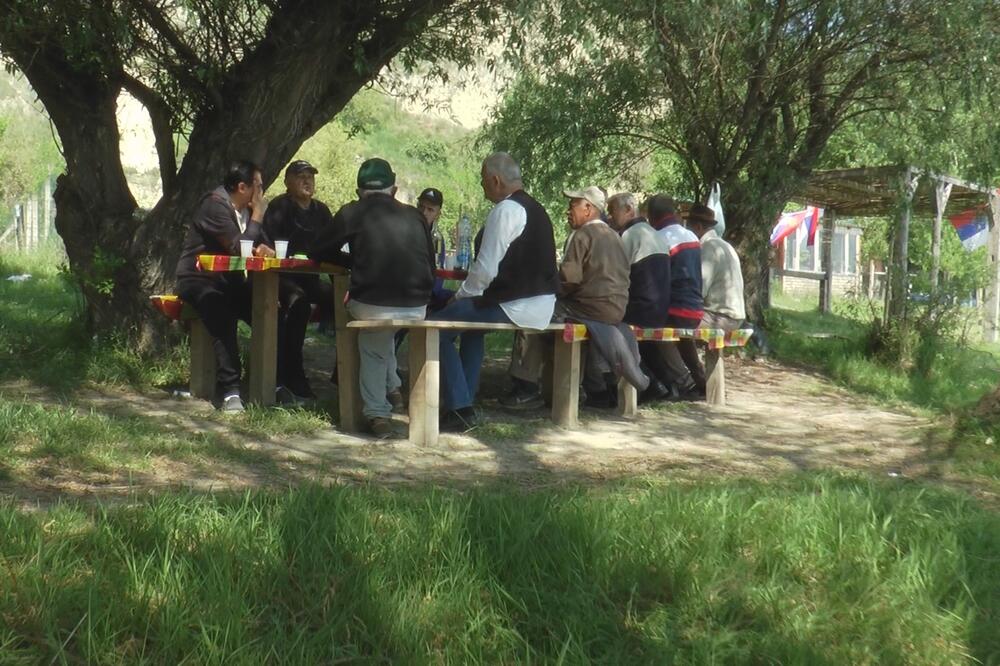 SVE ĐOKE NA JEDNOM MESTU! Bira se onaj najveći, najlepši, ali i najmanji! I to u Belegišu (FOTO)