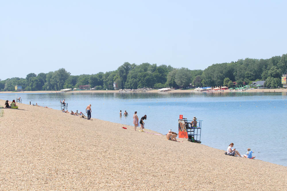 Meduze i ove godine na Adi Ciganliji: Kupači prebledeli kad su ugledali jednu u vodi, a evo da li su opasne!