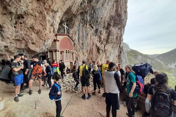 NA LEĐIMA NOSE OGROMAN TERET I PROBIJAJU SE KROZ NEPRISTUPAČAN TEREN: Konji u NEVIĐENOJ AKCIJI (FOTO)