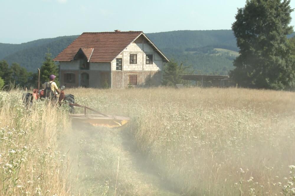 "MAJCI U INAT POKLANJAM KUĆU!" Oglas Cekija iz Vlasotinca ŠOKIRAO SRBIJU, ima i JEDAN USLOV! (FOTO)