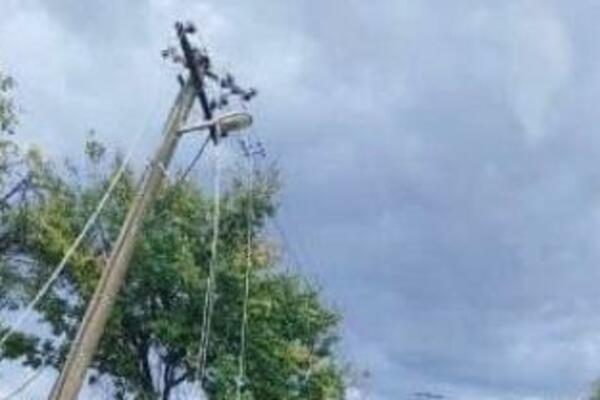 NEZAPAMĆENE POSLEDICE NEVREMENA U KULI: Vetar čupao i DRVEĆE! (FOTO)