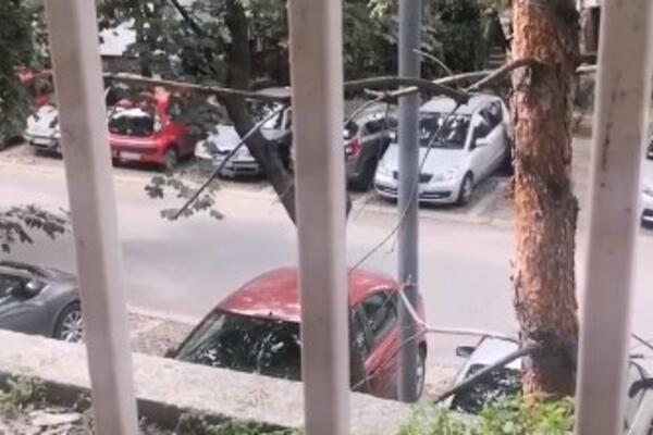 "DVA LIKA IZLETELA IZ AUTA I NAPALA MLAĐEG MOMKA": Osvanuo snimak INCIDENTA na Banovom brdu! (VIDEO)