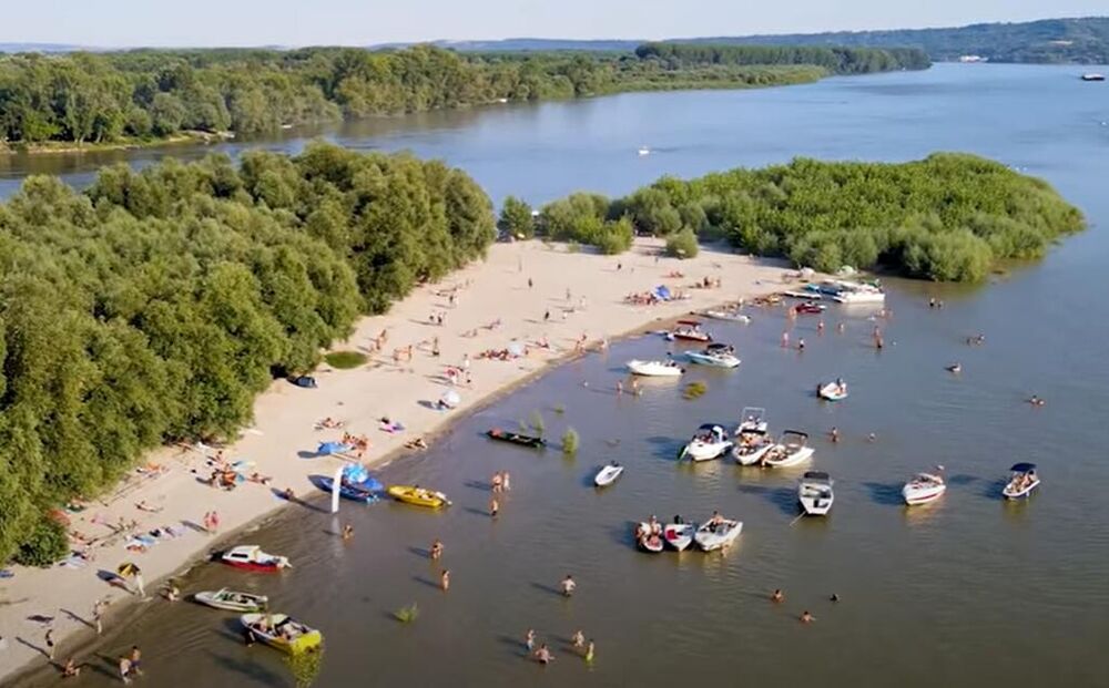 Majmunsko ostrvo, Ostrvo na Dunavu, Dunav, Sremski Karlovci