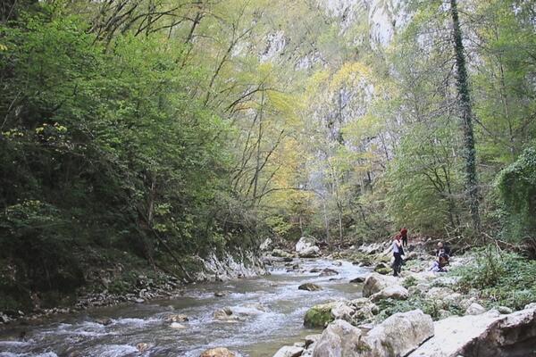 Obala ove reke je skriveni biser o kojem se nedovoljno priča: Noćenje košta samo 900 dinara, a tek kakve plaže ima!