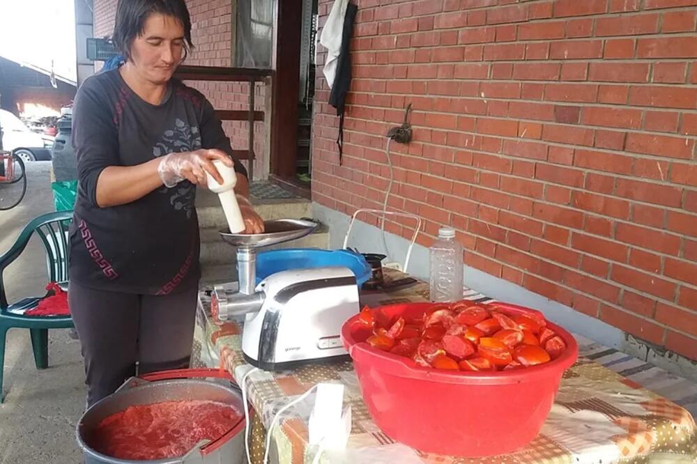 BILJANA IZ TOPOLE RUČNO SAMELJE I DO 2.000 KILOGRAMA PARADAJZA: Čim cena OPADNE ona kreće DA... (FOTO)