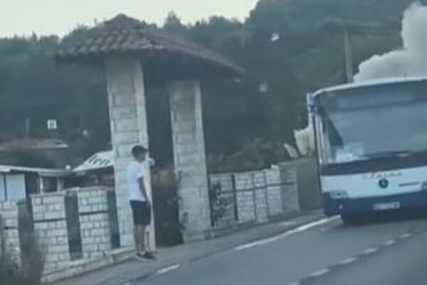 OGROMAN DIM KULJAO IZ AUTOBUSA: Saobraćaj zaustavljen zbog poažara kraj Aranđelovca (VIDEO)