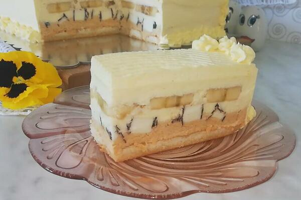 NAJPROSTIJA KREMASTA POSLASTICA KOJA JE SE NE PEČE: Recept NIKAD laši, a UKUS pomera granice - TORTA SAN SNOVA