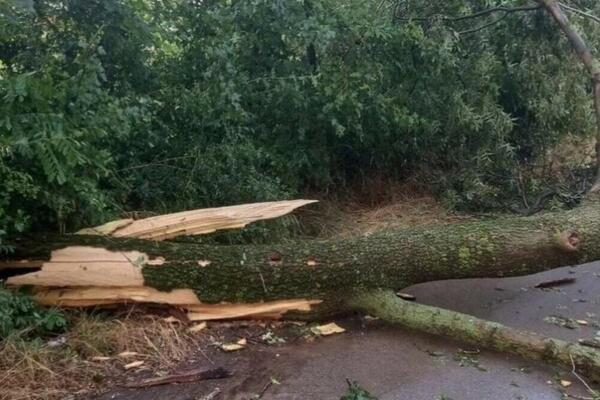 JAKO NEVREME KAKVO MEŠTANI NE PAMTE POGODILO ZAPADNU SRBIJU: Vetar čupao drveće, odneo krov škole (FOTO)