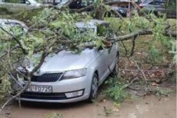 DRVEĆE IŠČUPANO IZ KORENA, POPADALO PO PARKIRANIM VOZILIMA I ULICAMA: Vetar pravi haos po Beogradu (FOTO)