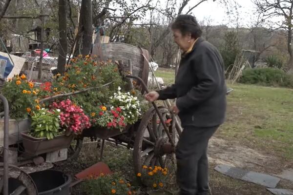 "ŽENSKI POSAO SE NIKAD NE ZAVRŠAVA": Jovanka radi BEZ PREDAHA, gaji STOKU, a najviše voli OVO da radi (VIDEO)