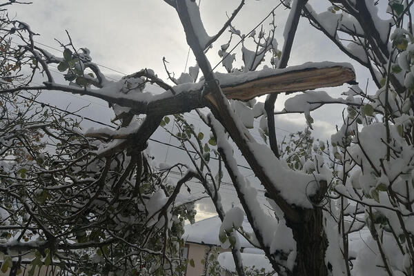 SNEG PADAO 20 SATI BEZ PRESTANKA, DOSTIGAO 40 CM, LOMIO GRANE: Veliki kolaps u OVOM srpskom gradu (FOTO)