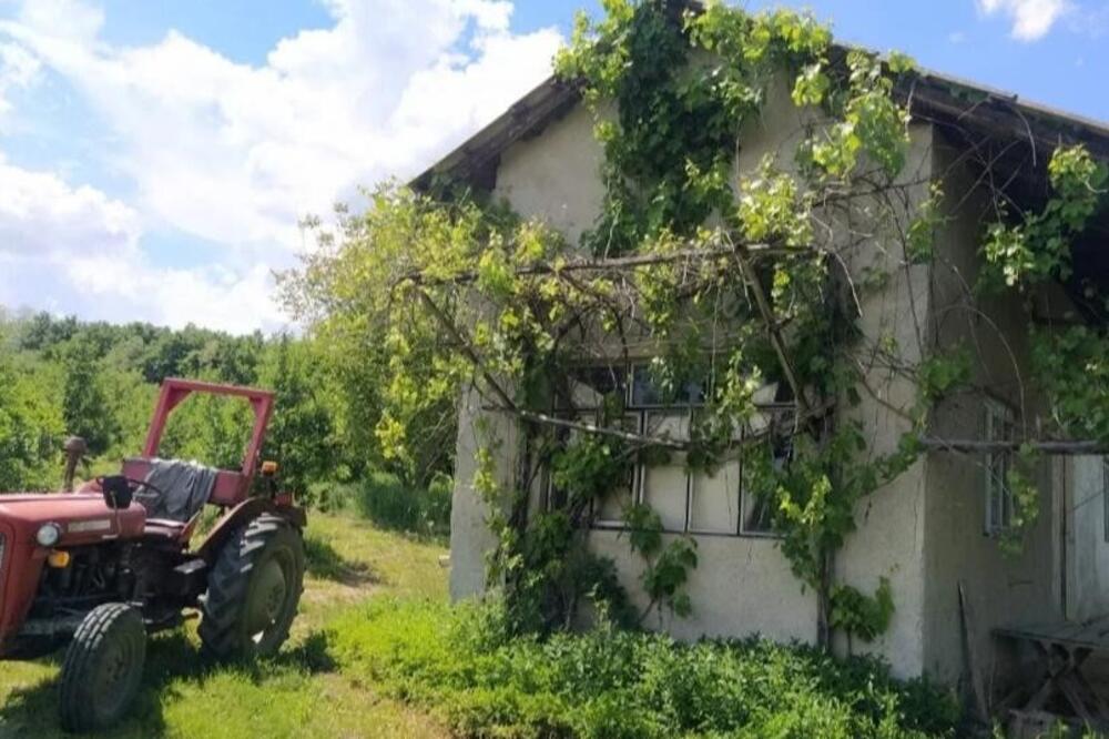 VLASNIK DAJE KUĆU, 100 ARI PLACA I PLODNU ZEMLJU SA 1.000 STABALA ZA 24.000 EVRA: Imanje za uživanje i za BIZNIS