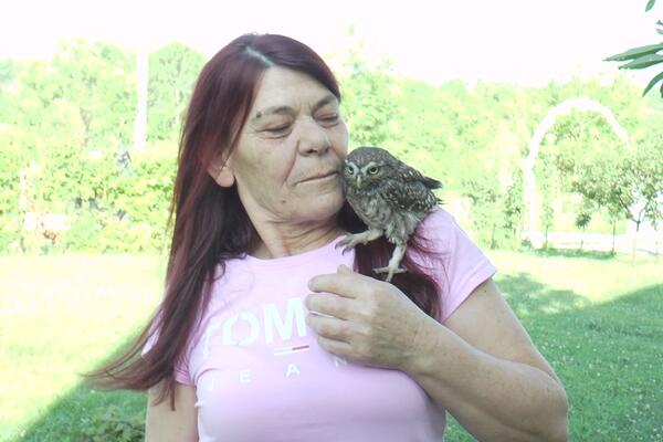 SOVA KUKUMAVKA OBOŽAVA LJUDE U DONJOJ TREPČI: Bacićima je postala kao član porodice, NEVEROVATNO! (FOTO)