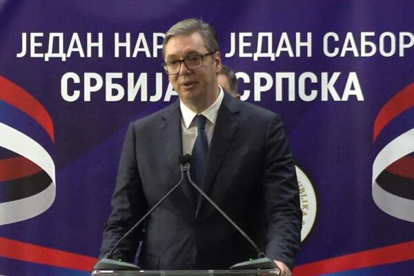 Ovo su svi detalji razgovora Vučića i Putina: Ruski predsednik nam poručio sledeće