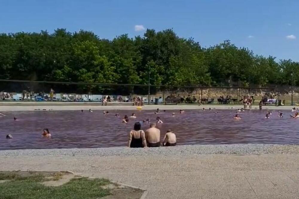 Da li ste posetili srpsko roze jezero? Ulaz je samo 500 dinara, a voda je slana (FOTO)