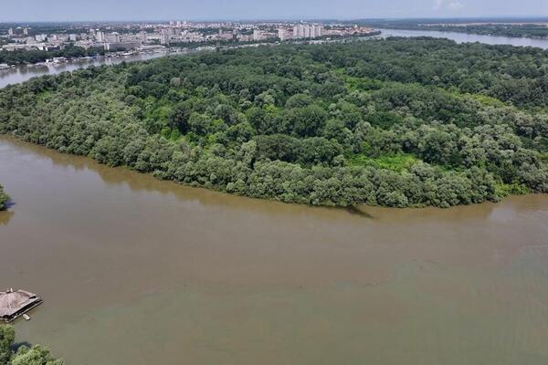 Temperatura vode kod Beograda nikad viša: Sava topla kao bara, ovo se do sada nije desilo!