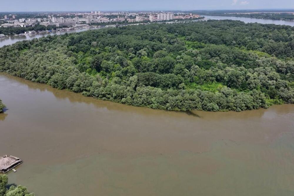 Temperatura vode kod Beograda nikad viša: Sava topla kao bara, ovo se do sada nije desilo!