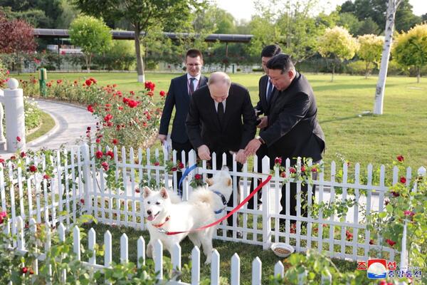 KIM DŽONG UN POKLONIO PUTINU DVA MEDENA PSA: Njihova rasa će vas IZNENADITI, nema ih gotovo NIGDE U SVETU (FOTO)