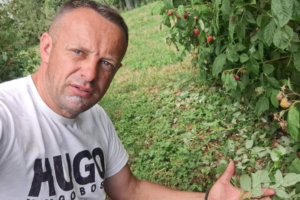 GRAD UNIŠTIO MALINE, OPUSTOŠENI VOĆNJACI U PRIJEPOLJSKOM KRAJU: Njegoš zatekao jad nakon nevremena (FOTO)