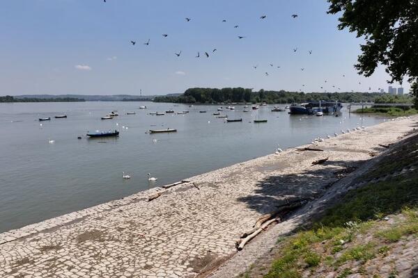 Volite da se kupate u Dunavu ili Savi jer je voda hladna i čista? Stigle su najnovije analize kvaliteta vode