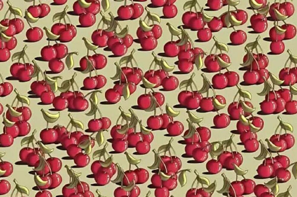 Pronađite paradajz među trešnjama i rešili ste optiču iluziju: Samo natprosečno inteligentni su uspeli za 9 sekundi