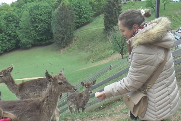 Nestvarno imanje u selu Olimje u Sloveniji: Ovde vam jeleni jedu iz ruke, Jelenov greben prava atrakcija za turiste