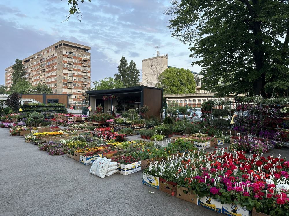 Cvetni kutak na pijaci „Stari Merkator' sada izgleda ovako.