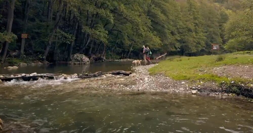 Šetnja pored reke Gradac