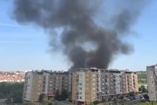 IZBIO POŽAR NA VOŽDOVCU: Gust dim se širi naseljem Stepa Stepanović (VIDEO)