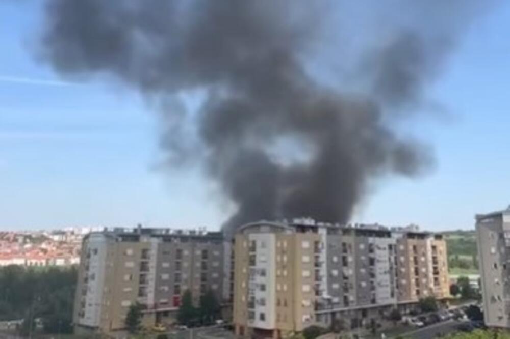 IZBIO POŽAR NA VOŽDOVCU: Gust dim se širi naseljem Stepa Stepanović (VIDEO)