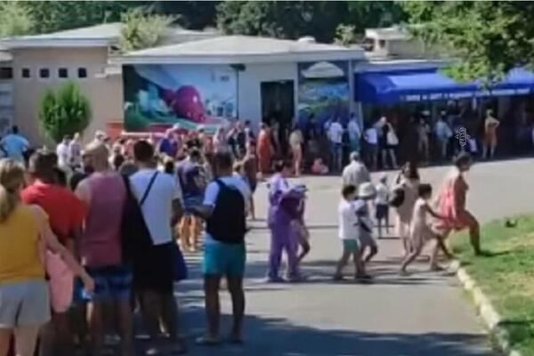 Beograđani pohrlili na kupanje! Ogromni redovi ispred poznatih bazena, gužve i danju i noću (VIDEO)