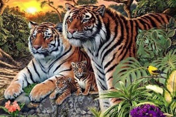 MOZGALICA KOJA JE ZBUNILA MNOGE: Samo 1% ljudi vidi sve tigrove na slici