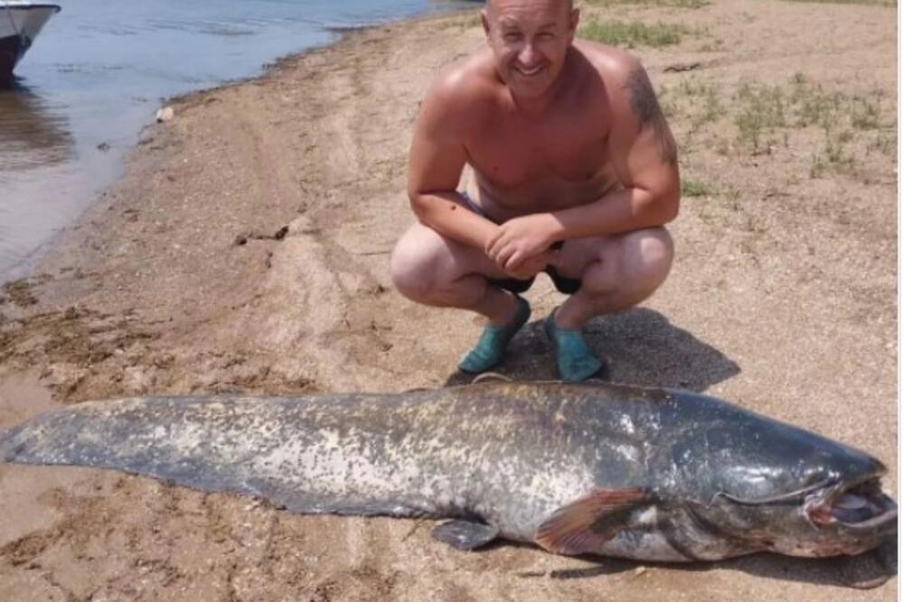 Majstor Ivan ulovio pravu grdosiju u Vlasini! Kapitalac težak 60 kilograma (FOTO)