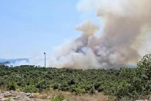 Ogroman požar izbio na Pelješcu: Preko 100 vatrogasaca se bore da suzbiju vatrenu stihiju (VIDEO)
