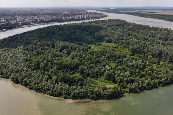 POSLEDNJA OAZA NETAKNUTE PRIRODE IZMEĐU DVA GRADSKA JEZGRA: Predeo izuzetnih odlika- Veliko ratno ostrvo