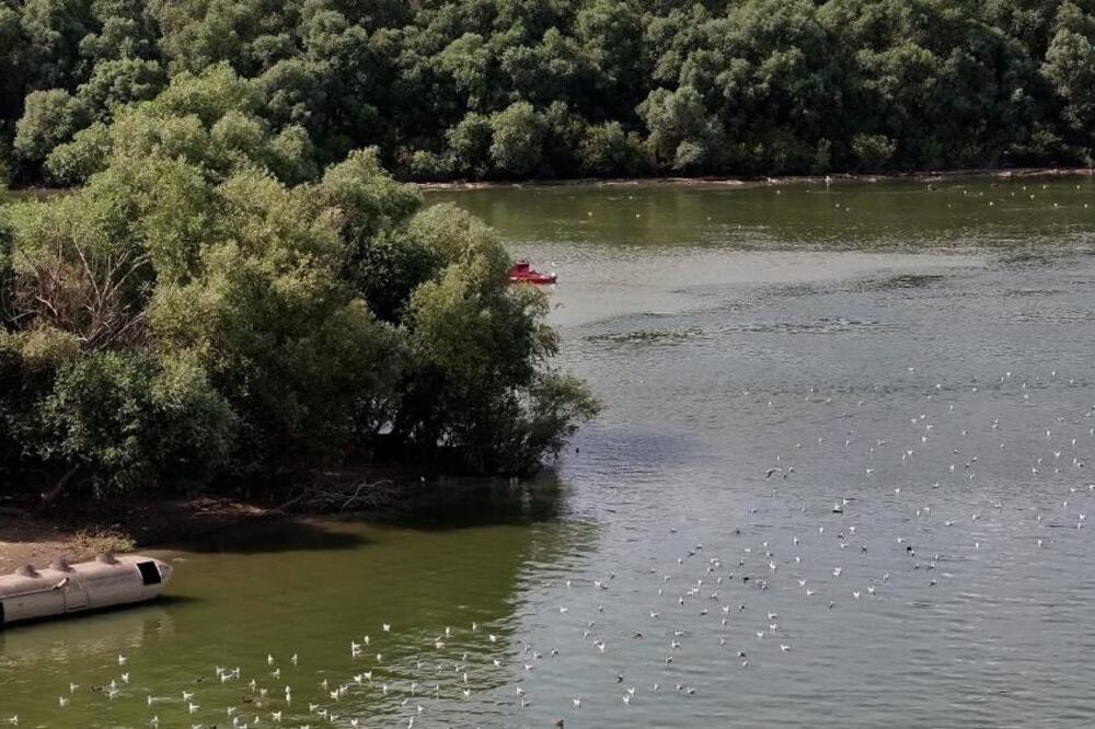 Nekada konjsko, a danas malo ratno ostrvo: Nalazi se na ušću dve velike reke - znate li o čemu je reč? (FOTO)