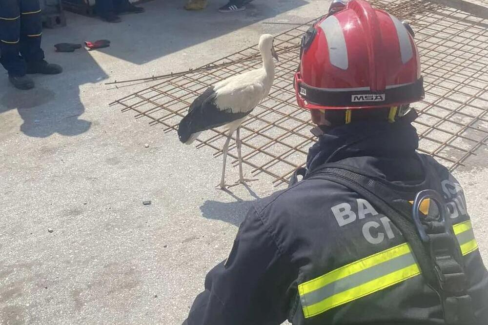 Neverovatna akcija spasavanja male rode: Srpski vatrogasci još jednom pokazali ogromno srce, bravo ljudine (FOTO)