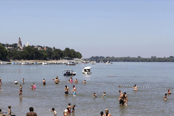 "Ujeo je, a onda joj zadao još rana". Belgijski ovčar napao devojčicu na plaži "Lido": Majka otkrila jezive detalje