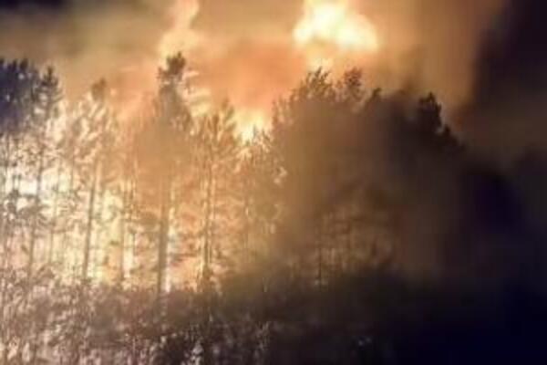 Veliki požar kod Pirota: Vatrena stihija guta sve pred sobom, šuma nestaje u oblaku dima (VIDEO)