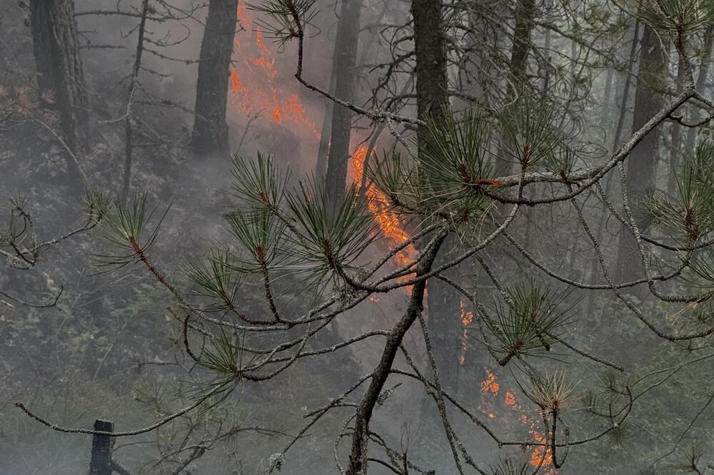 Besni šumski požar na Tari: Grom napravio haos, vatra guta sve pred sobom, meštani pomažu u gašenju! (FOTO)