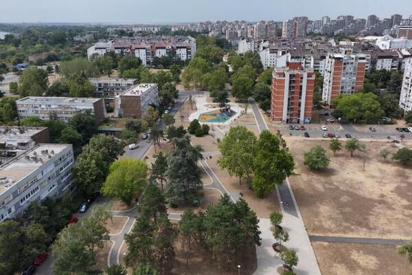 Ovo je najduže beogradsko šetalište: Njegovo ime je simbol ljubavi i prijateljstva! (FOTO/VIDEO)