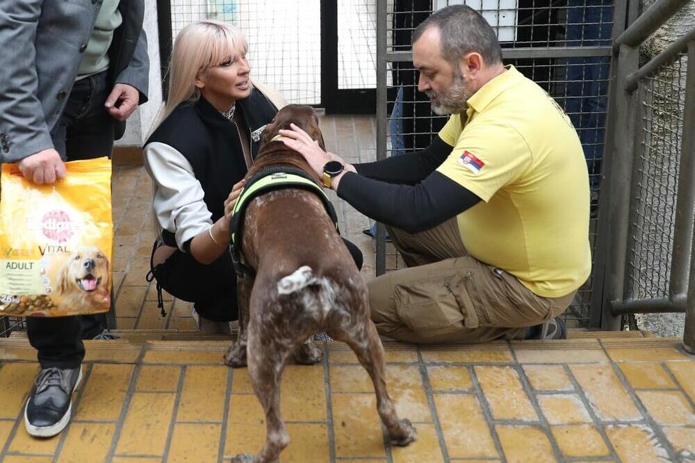 Zašto se o ovome ćuti? Karleuša je ovoliko novca izdvojila za samo 5 godina: Humanitarac iz senke