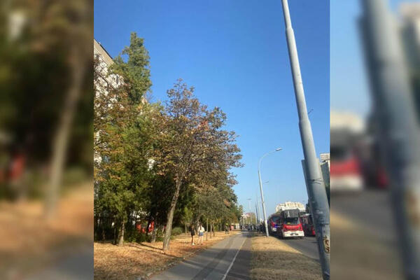 Prve fotografije sa mesta požara na Novom Beogradu: Krov zgrade u plamenu (FOTO)