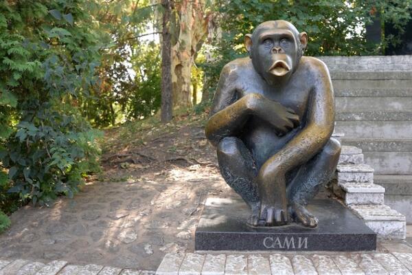 Šetao centrom grada i dorćolskim krovovima: Sami je legenda Beo zoo vrta - ovo je priča o njemu (FOTO)