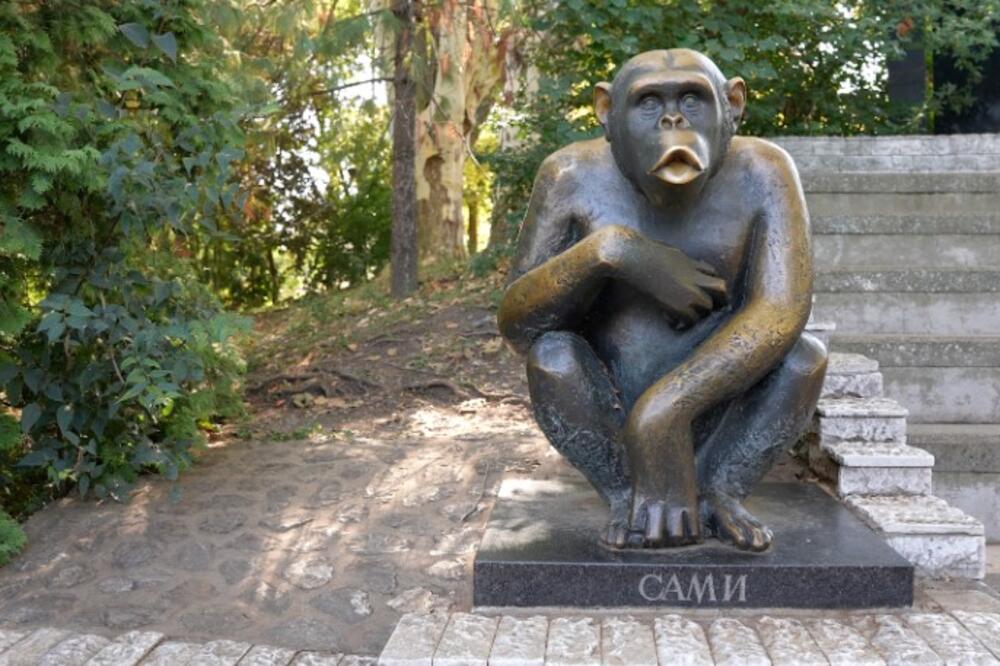 Šetao centrom grada i dorćolskim krovovima: Sami je legenda Beo zoo vrta - ovo je priča o njemu (FOTO)