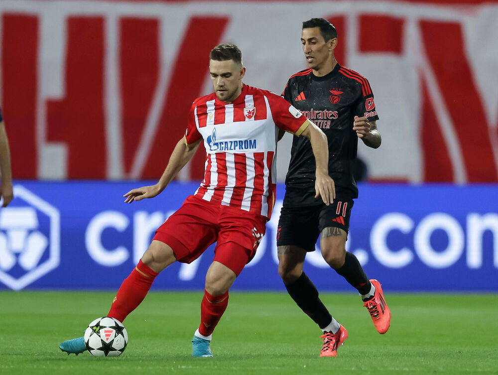 FK Crvena zvezda, FK Benfika, Liga šampiona